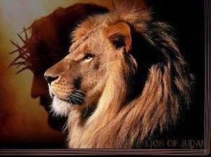 leon de juda